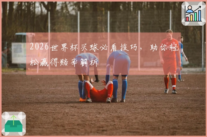 2026世界杯买球必看技巧，助你轻松赢得赔率解析