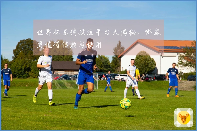 世界杯竞猜投注平台大揭秘，哪家更值得信赖与使用