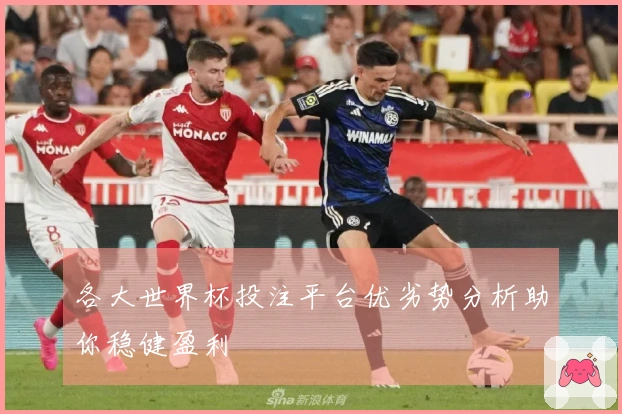 各大世界杯投注平台优劣势分析助你稳健盈利