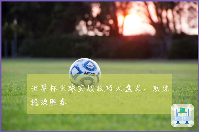 世界杯买球实战技巧大盘点，助你稳操胜券