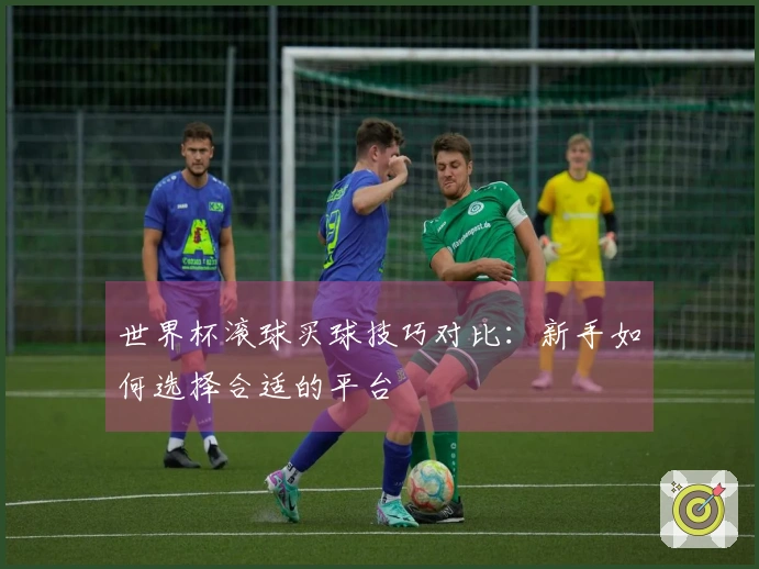 世界杯滚球买球技巧对比：新手如何选择合适的平台