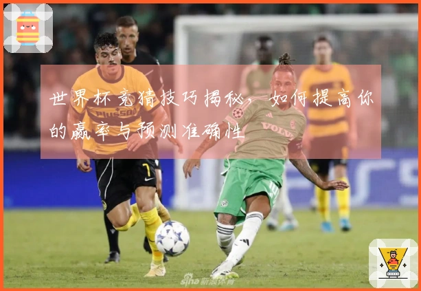 世界杯竞猜技巧揭秘，如何提高你的赢率与预测准确性